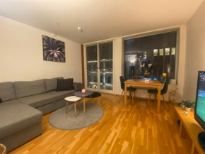 Apartment city center